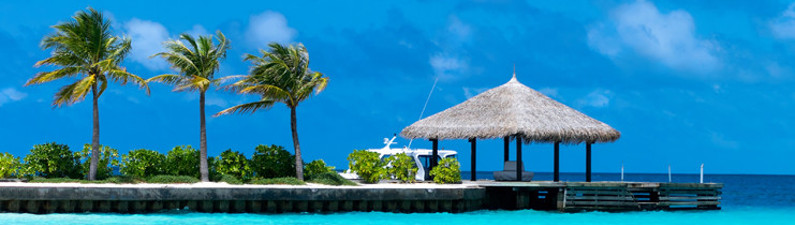 Rich Travel & Turism